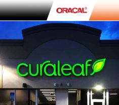 Oracal 8500 Largeur 126cm